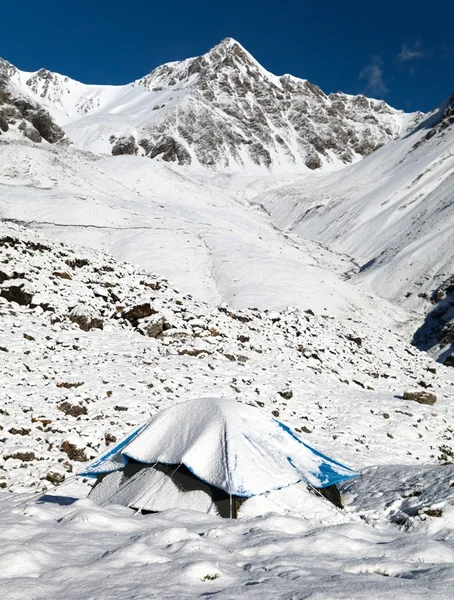 Camping on mountain in himalayas - nepal — Stock Photo, Image