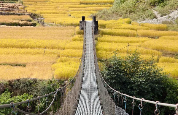 Rope hanging suspension bridge in Nepal — Stock Photo, Image