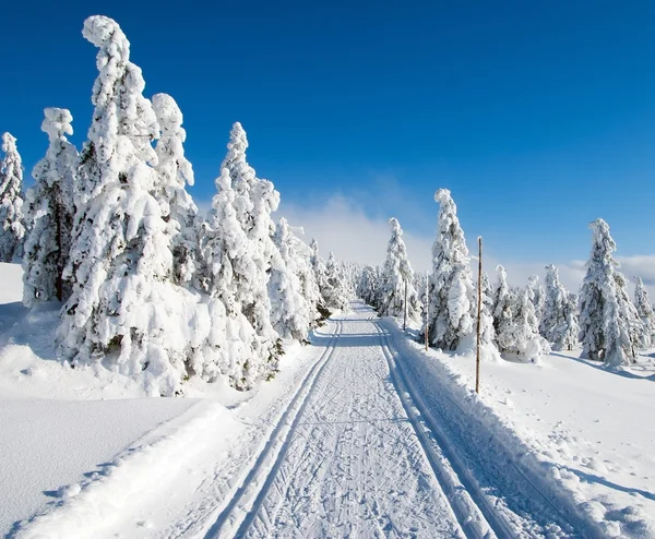Paysage hivernal avec piste de ski de fond modifiée Images De Stock Libres De Droits