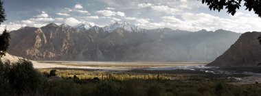 Nubra valley - Indian himalayas - Ladakh clipart