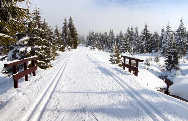 Winterse landschap met gemodificeerde crosscountry skiën manier — Stockfoto