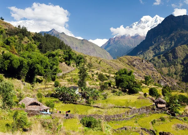 Beautiful village in western Nepal with mount Dhaulagiri — Stock Photo, Image