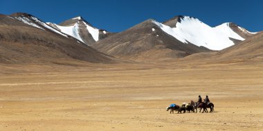 Rupshu Valley yaks karavan ile tipik peyzaj