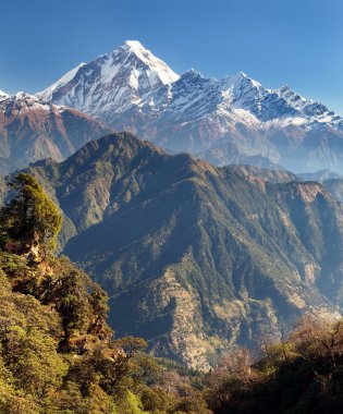 jaljala geçmek dhaulagiri etmek görünümünden