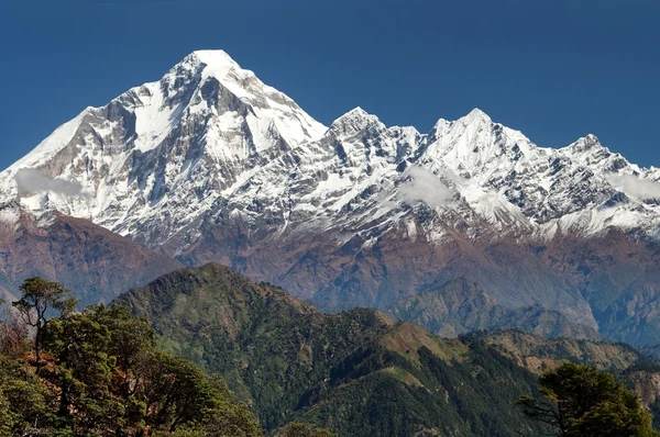 Panoramatic view from Jaljala pass of Dhaulagiri — Stock Photo, Image