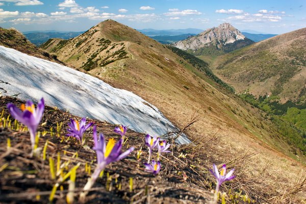 Мала-Фатра и гора Розсутек - Словакия
