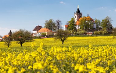 church and golden rapeseed field clipart