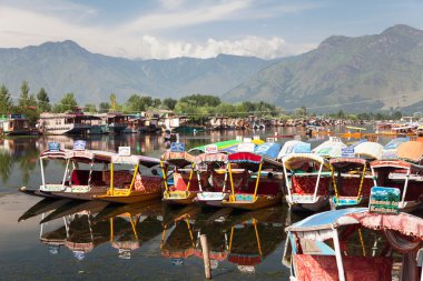 srinagar içinde yüzen dal göl gemilerde shikara