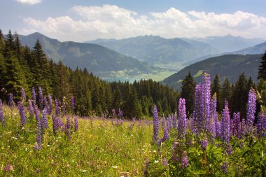 Avusturya Alplerinde Zell çevresinde görünümünden am See