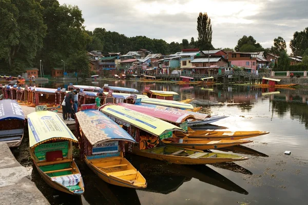 Shikara boats on Dal Lake with houseboats in Srinagar — Stock Photo, Image