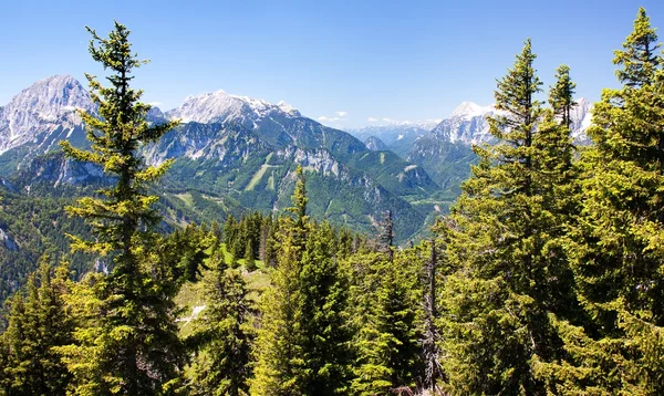 Blue mountains - view from Kaltmauer to blue mounts — Stock Photo, Image