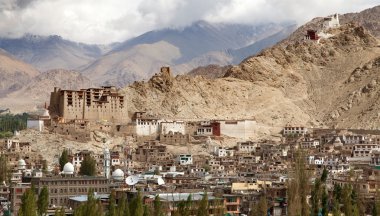 Leh Palace - Namgyal Tsemo Gompa - Leh - Ladakh clipart
