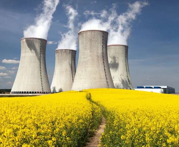 Nuclear power plant Dukovany with golden flowering field — Stock Photo, Image
