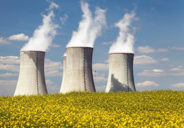 Soğutma Kulesi ve kolza tohumu alan