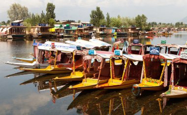srinagar içinde yüzen dal göl gemilerde shikara