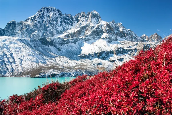 Dudh pokhari Gokyo tó és Phari Lapche csúcs — Stock Fotó