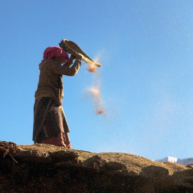  Nepalese woman cleaning corn in wind on roof of building