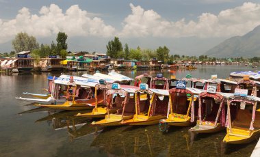 srinagar içinde yüzen dal göl gemilerde shikara