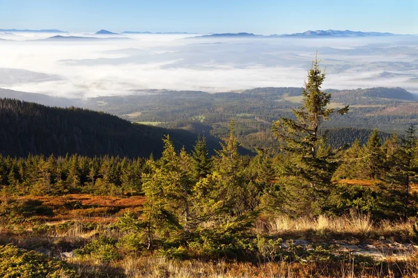 View from Babia gora or Babi Hora to Slovakia — Stock Photo, Image