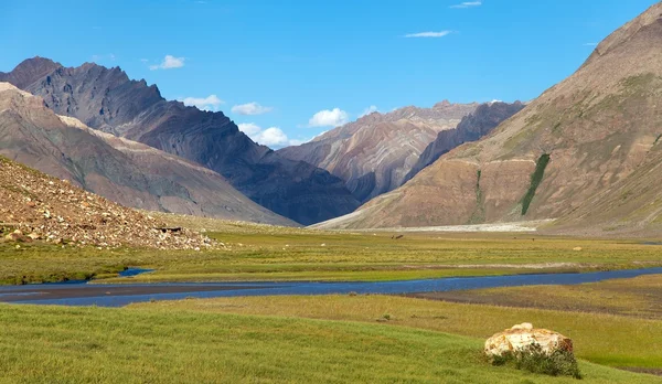 Caminhada de Kargil para Padum - Zanskar, Ladakh — Fotografia de Stock