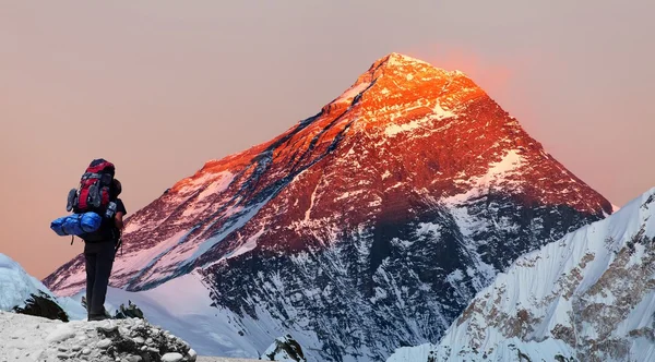 Monte Everest do vale de Gokyo com turista — Fotografia de Stock