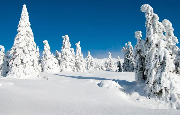 Paisaje invernal desde Krkonose - Montañas gigantes — Foto de Stock