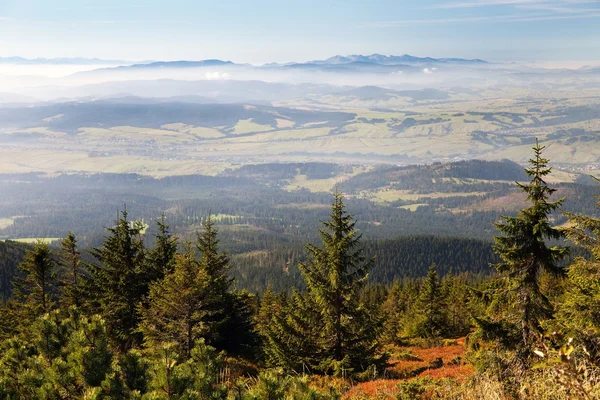 View from Babia gora or Babi Hora to Slovakia — Stock Photo, Image