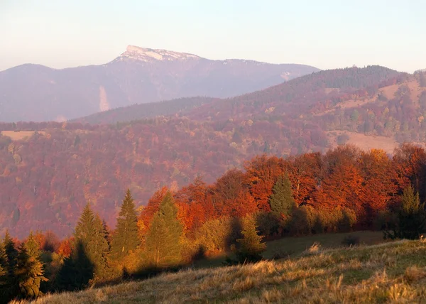 Гору Klak мала Фатра, Strazovske vrchy, Словаччина — стокове фото