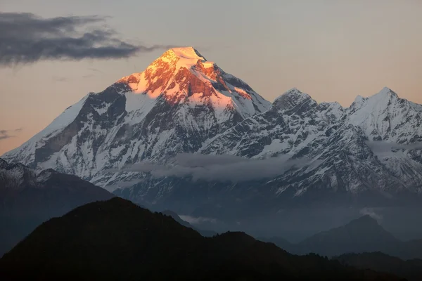 Avond panoramisch uitzicht op mount dhaulagiri - nepal — Stockfoto