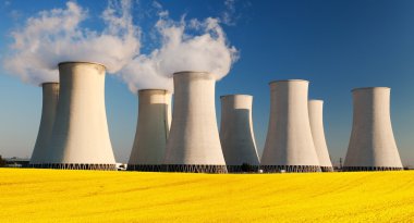Kolza tohumu alanı olan nükleer enerji santrali
