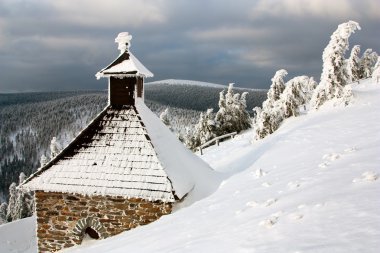 Vresova studanka veya Heathery Bahar, jesenik