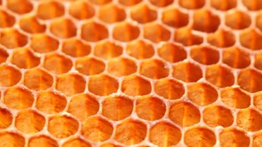 Boş bal peteklerinin arka planı. Çevresel bir felaket. Yakın plan. 4k