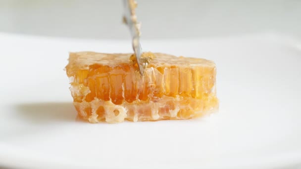 蜂蜜梳子是用白盘上的小刀在浅色背景上切割的 素食甜味 — 图库视频影像