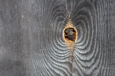 Guilder-gül çilek ahşap çit üzerinde demet