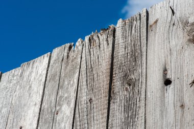 Guilder-gül çilek ahşap çit üzerinde demet