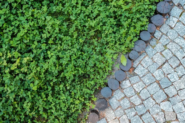Kort gräs gräsmatta och kullersten trottoar textur — Stockfoto