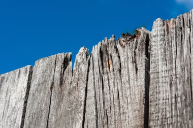 Gri ahşap eski plakalar doku gökyüzü ile
