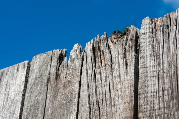 Grå gamla plankor trästruktur med sky — Stockfoto