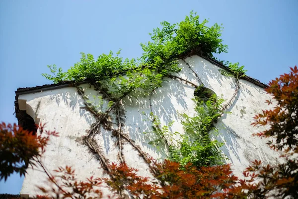 Fragment eines chinesischen Hauses und einer Mauer — Stockfoto
