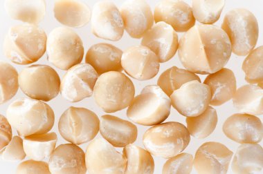 Bir yığın içinde Macadamia fındık