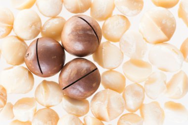 Bir yığın içinde Macadamia fındık