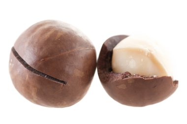 Bir yığın içinde Macadamia fındık