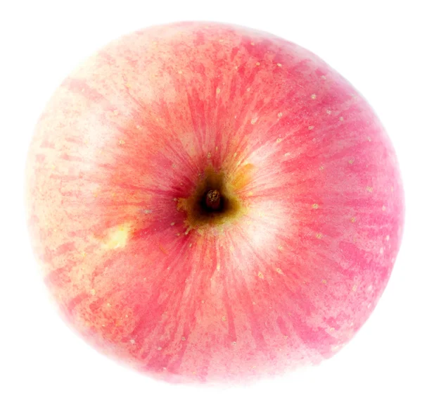 Tatlı bir pembe Apple — Stok fotoğraf