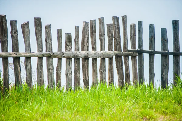 Old fence on the green lawn