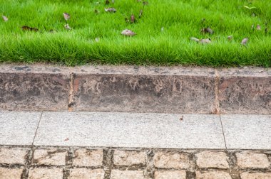 Yeşil çim ve beton kiremit