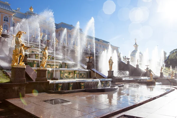 Peterhof famosa cascata de fontes, esculturas douradas perto do Palácio Peterhof — Fotografia de Stock