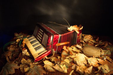 Vintage accordion among the autumn leaves clipart