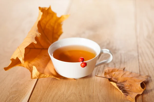 Una taza de té con hojas de arce que caen en otoño, y unas bayas de serbal en el fondo de la mesa de madera Imagen de stock