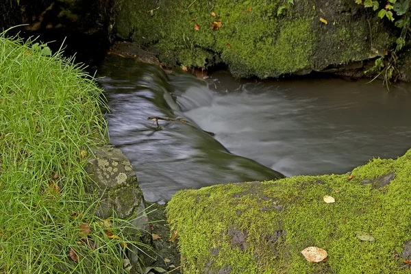 Little brook — Stock Photo, Image