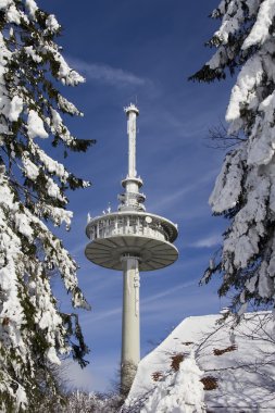 Radio tower in the winter with snow capped firs clipart